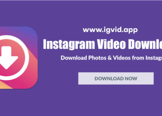 Download Instagram Video Online