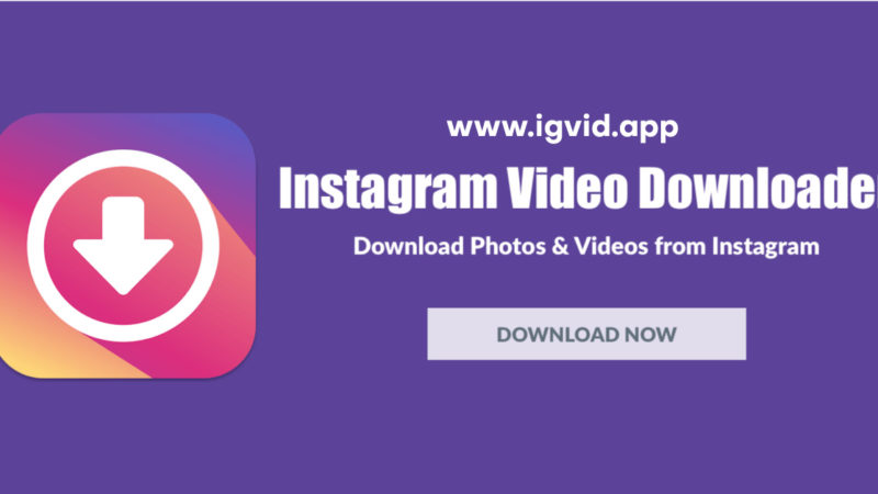 Download Instagram Video Online: The Ultimate Guide for Easy Video Access