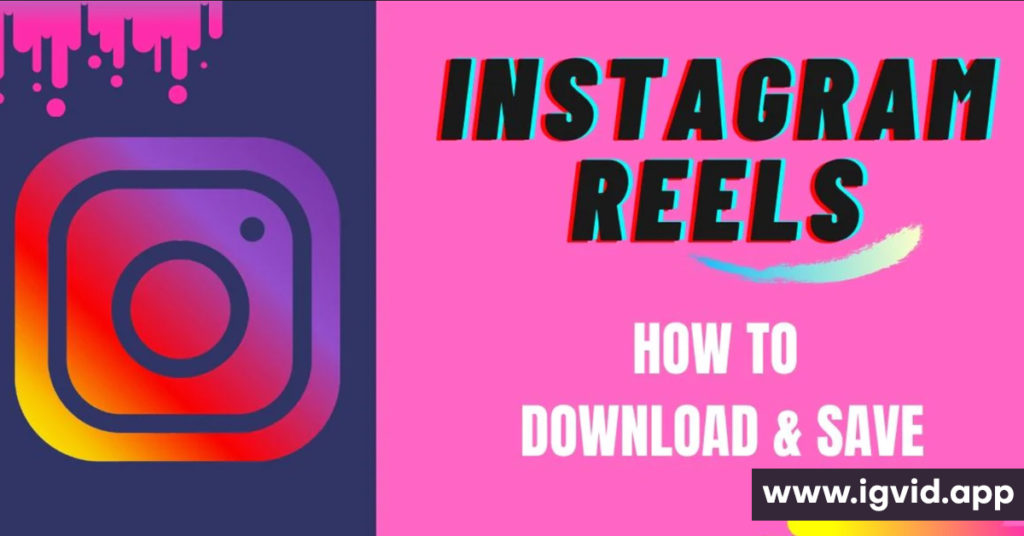 Download Instagram Video Online