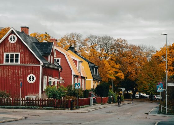 Sweden in Autumn: Where to See the Best Fall Foliage